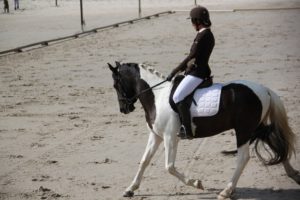 Dressage Officiel du 23 juin 2019 (Photos)