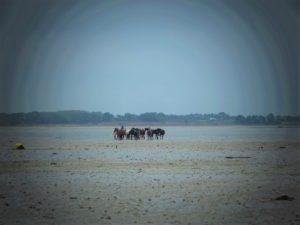 Plage du 13 octobre 2019 (Photos)