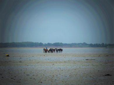 Plage du 13 octobre 2019 (Photos)