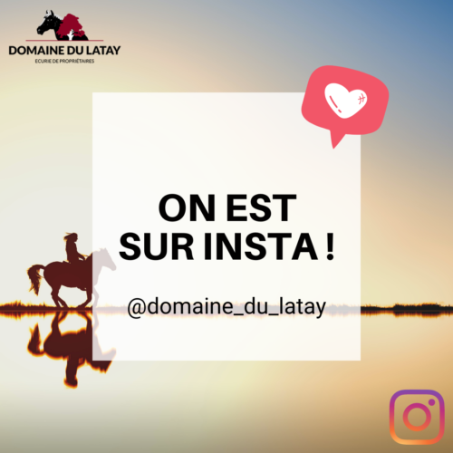 ON EST SUR INSTA